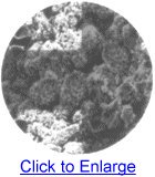 Detalle Placa Recuperada