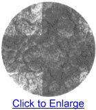 Detalle Placa Virgen